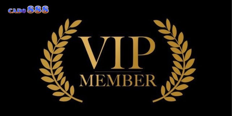 Nhà cái uy tín VIP mang đến trải nghiệm cá cược đẳng cấp