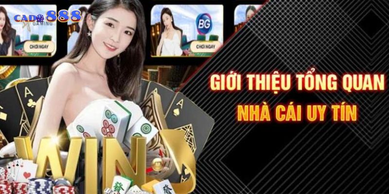 Hệ thống cá cược tại nhà cái uy tín nhất Việt Nam hoạt động ổn định