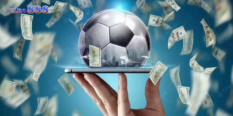 Hoàn tiền cá cược giúp người chơi giảm rủi ro tối đa