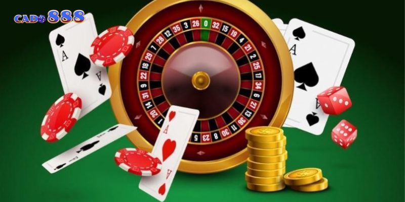 Giấy phép hợp pháp đảm bảo độ uy tín và minh bạc