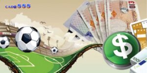 trang cá cược bóng đá uy tín