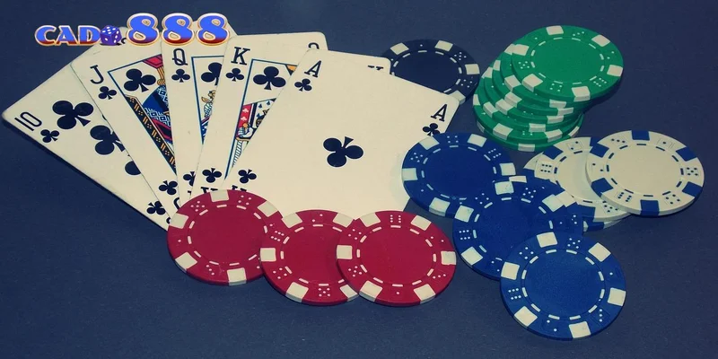 Kinh nghiệm quản lý chip poker hiệu quả